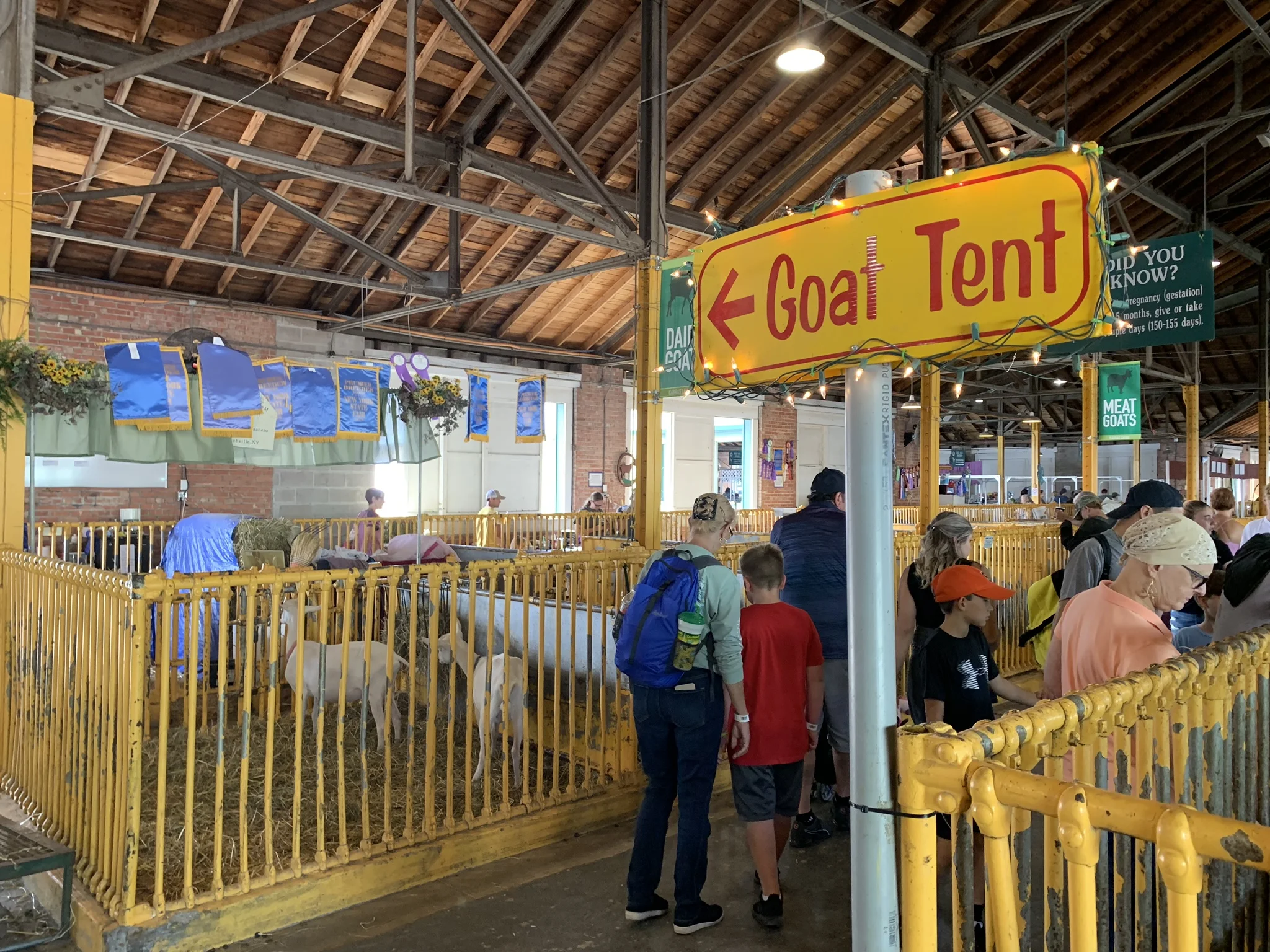Goat Tent at NY State Fair