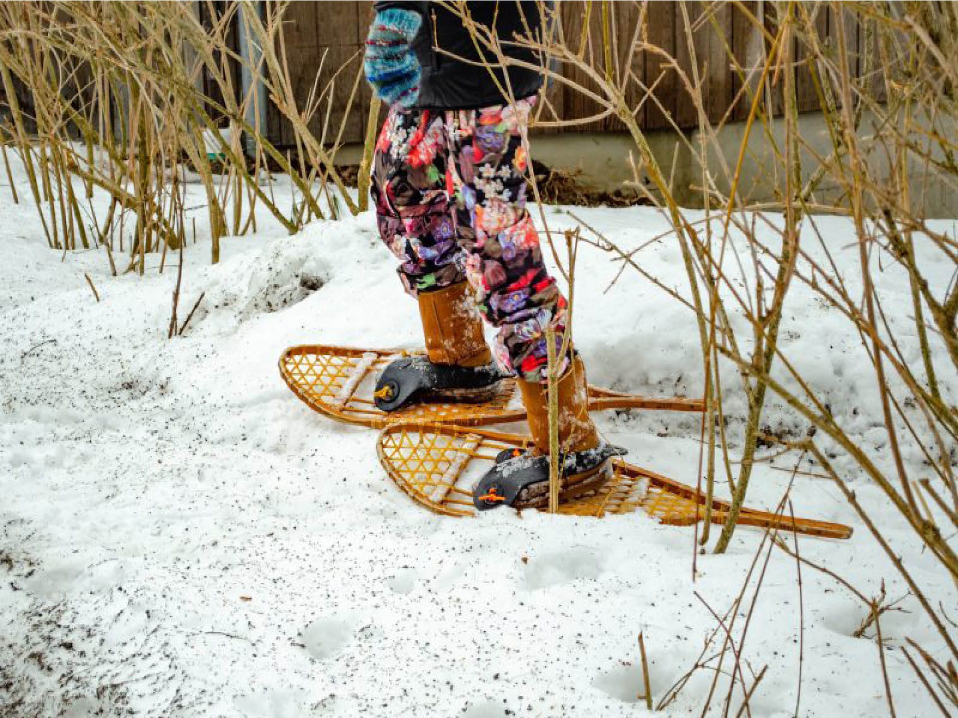 Snowshoeing at Rochester Museum and Science Center