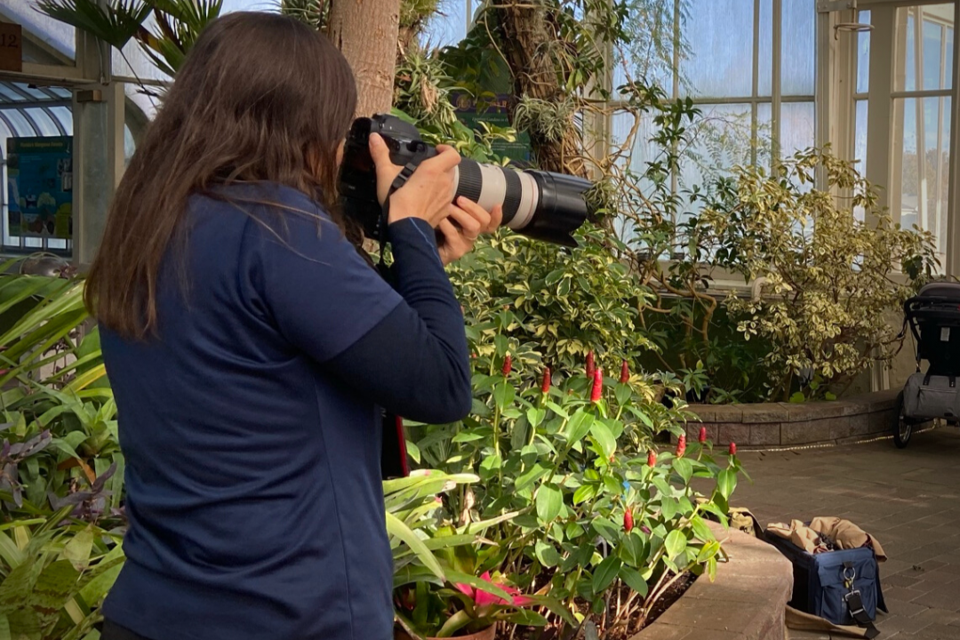 Photography Nights at Buffalo and Erie County Botanical Gardens