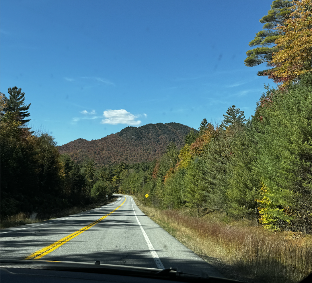 Miss Ny's view driving to the Adirondacks