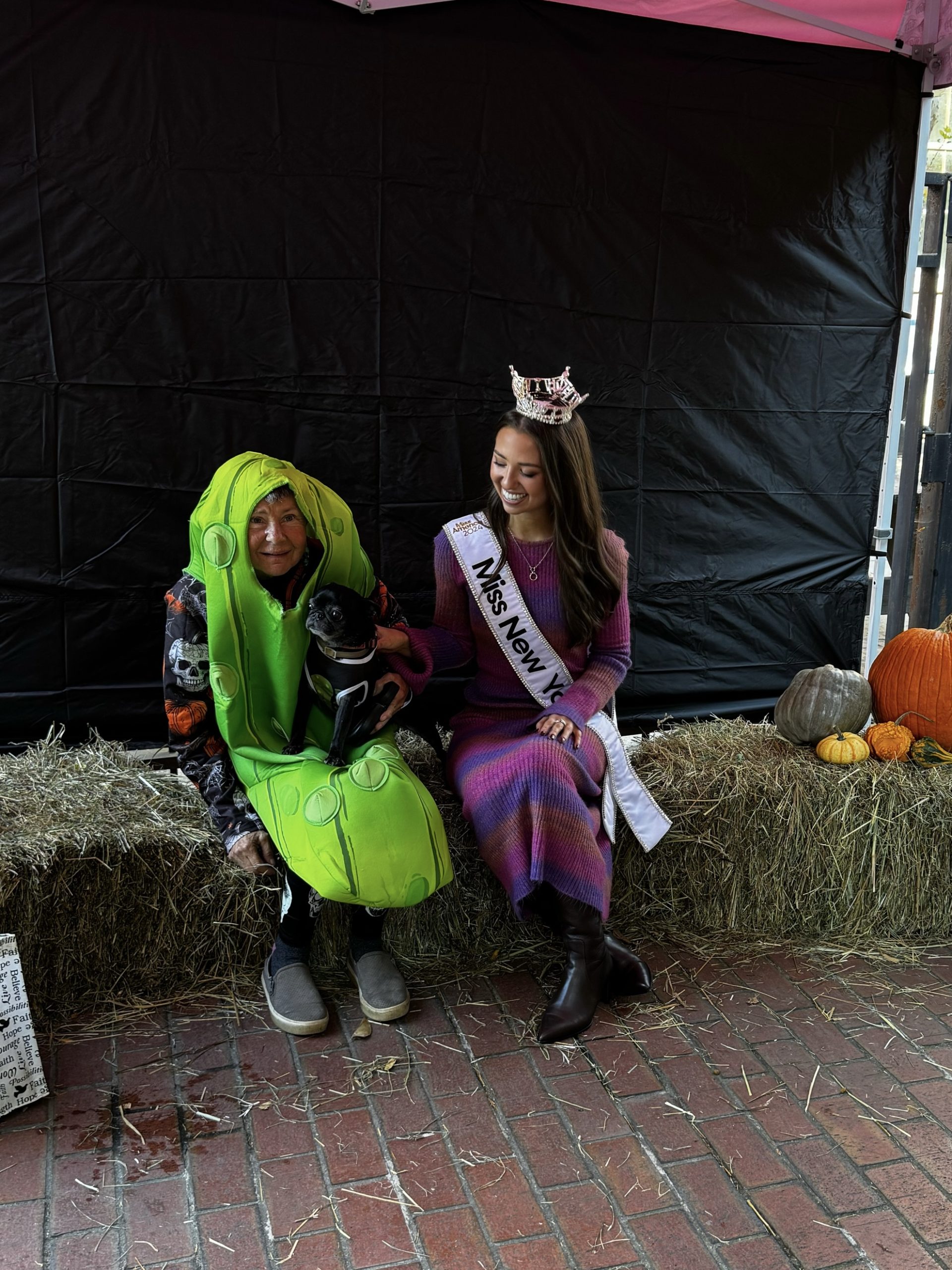 miss ny hounds of halloween albany