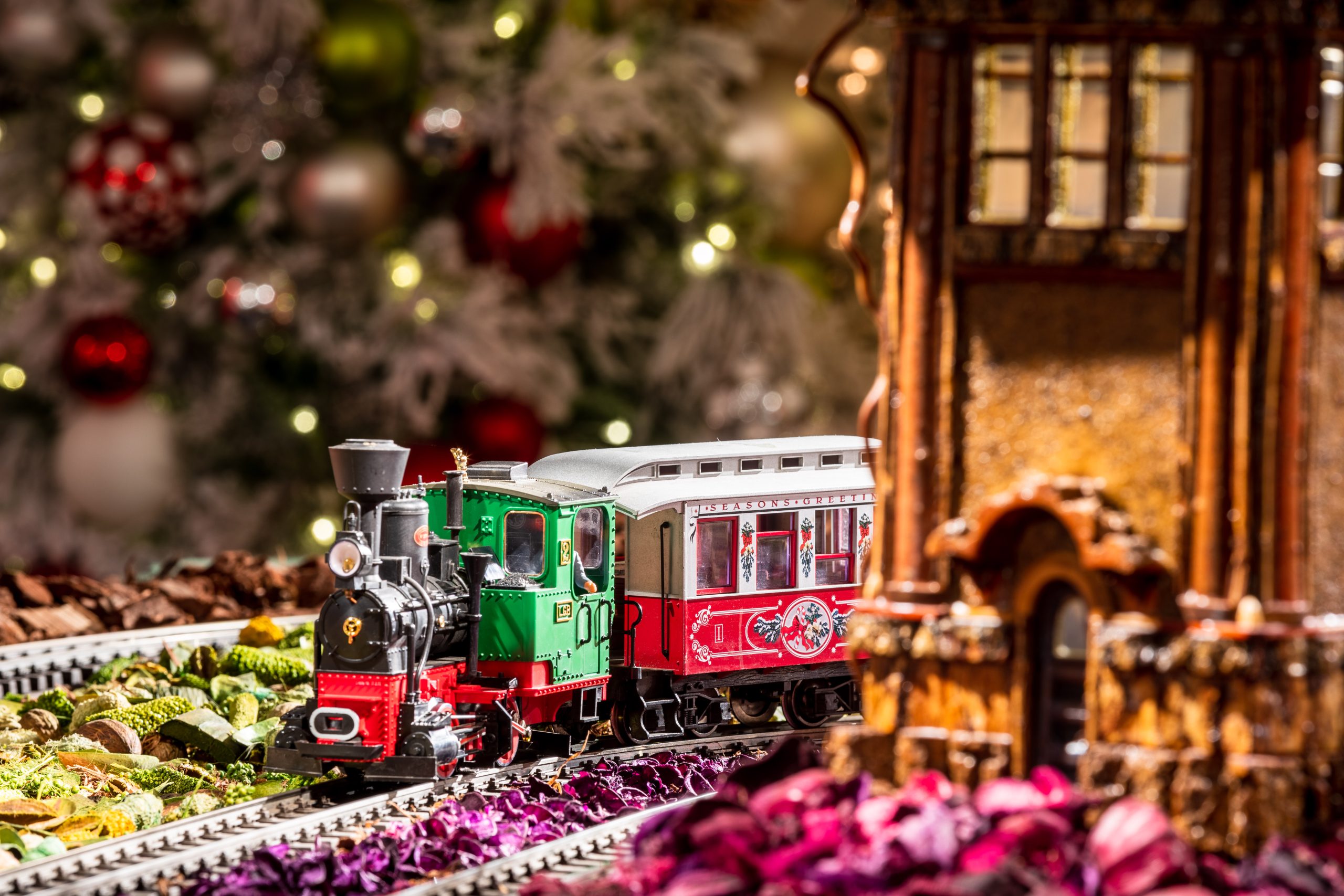 Festive trains at the New York Botanical Garden