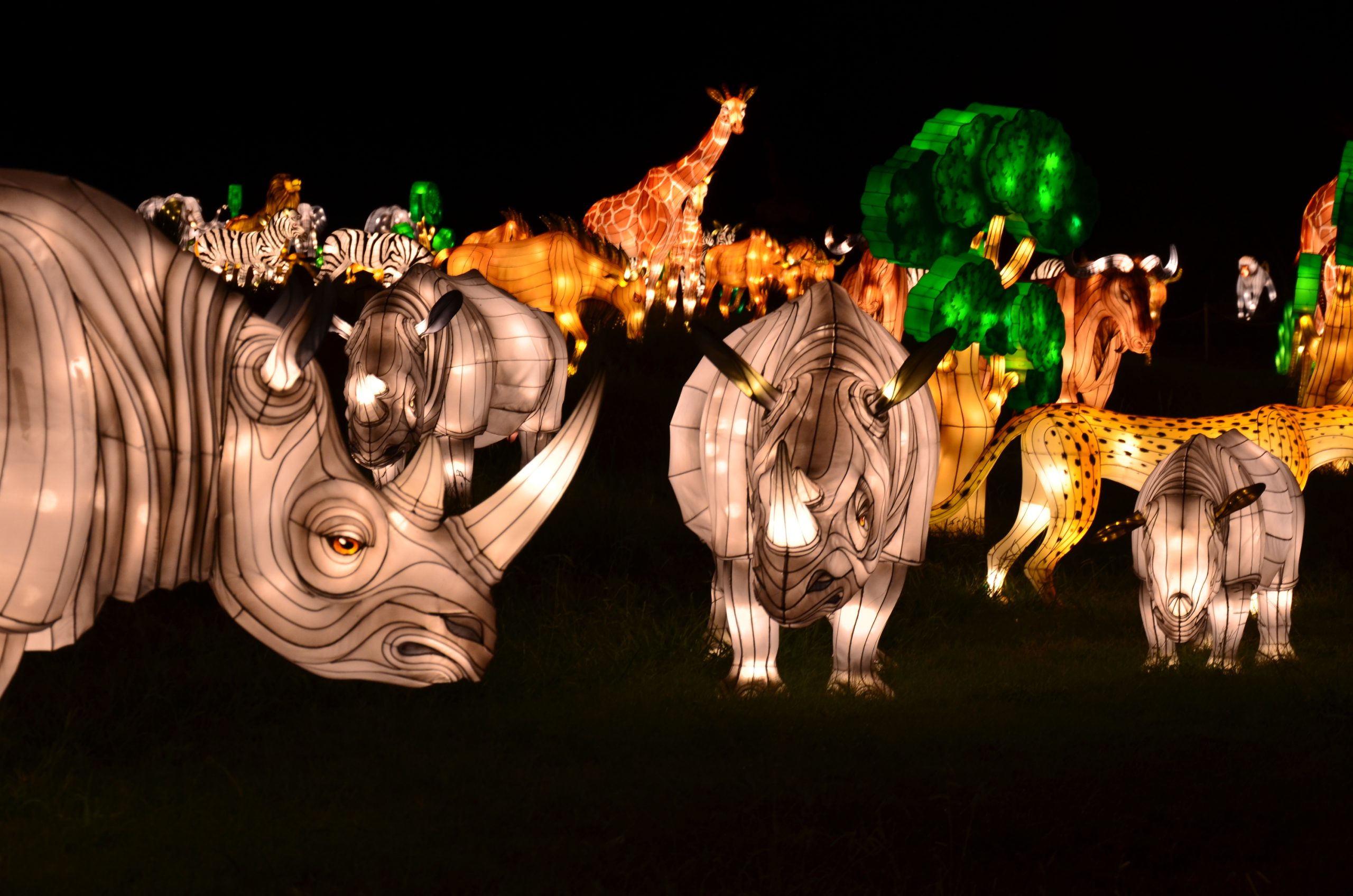 holiday lights at the Bronx Zoo