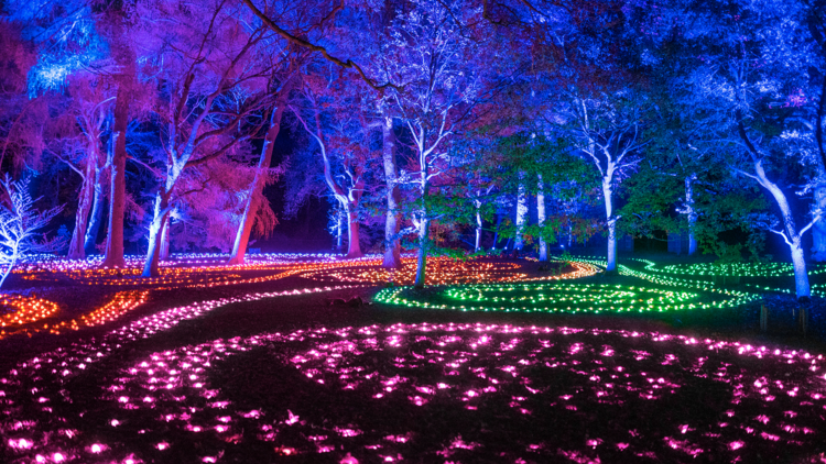 ligthscape at brooklyn botanic garden